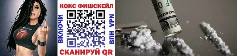 купить закладку  Всеволожск  OMG зеркало  COCAIN Fish Scale 
