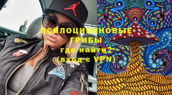 тгк Саяногорск