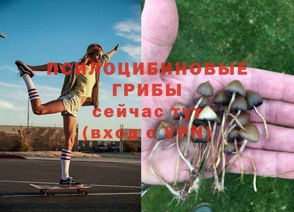амф Волоколамск