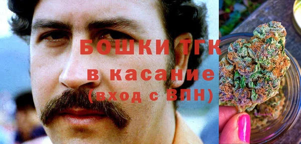сатива Волосово