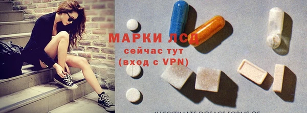 сатива Волосово